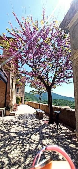 فيلا Relax Nell' Antico Borgo Casperia المظهر الخارجي الصورة